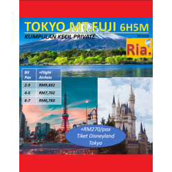 private tokyo mtfuji halal tour 6h5m