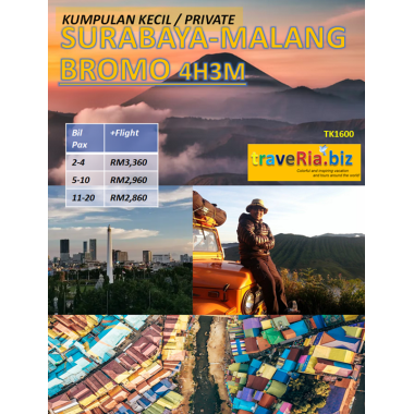 private surabaya malang bromo 4h3m
