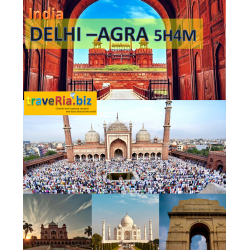Private India : Delhi Agra 5H4M